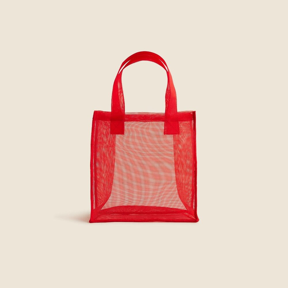 Maryam Nassir Zadeh X J.Crew birthday bag in mesh